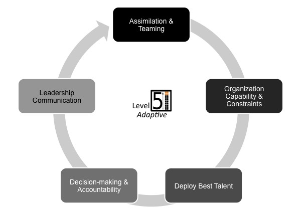 Adaptive Leadership Transitions